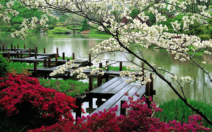 Flower Park, black wooden bridge, plants, nature, scenery, landscape, spring, HD wallpaper