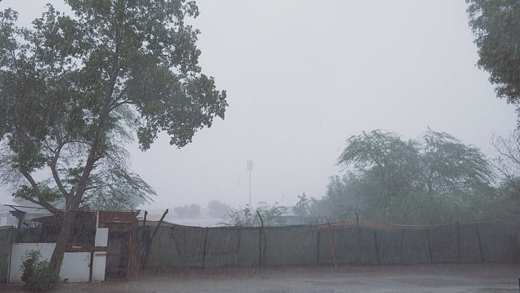 deszcz, ponury, Tapety HD