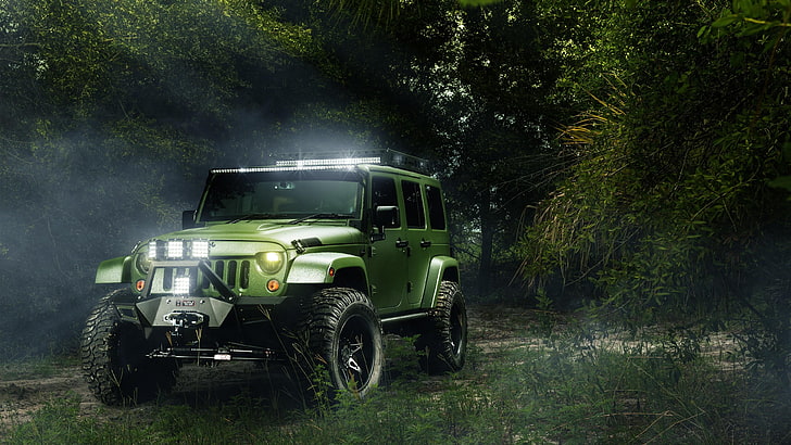 car, vehicle, off roading, nature, ecosystem, jeep, jeep wrangler, tree, HD wallpaper