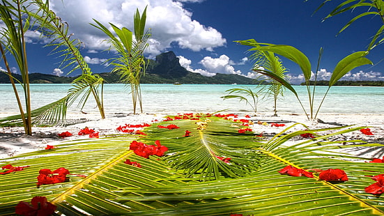 Бора Бора Таити Подготовка к свадебной церемонии на пляже у Голубой лагуны Полинезия Обои для рабочего стола 339304, HD обои HD wallpaper