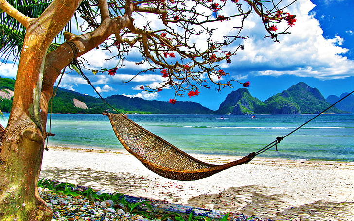 brown hammock, summer, grass, beach, sky, sea, ocean, landscape, nature, mountains, clouds, exotic, hammock, tropical, HD wallpaper