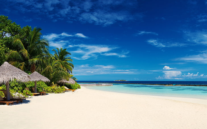 회색 방갈로와 하얀 모래, 해변, 여름, 야자수, 모래, 열대, 바다, 의자, 구름, HD 배경 화면