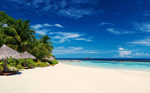 grey bungalows and white sand, beach, summer, palm trees, sand, tropical, sea, chair, clouds, HD wallpaper HD wallpaper