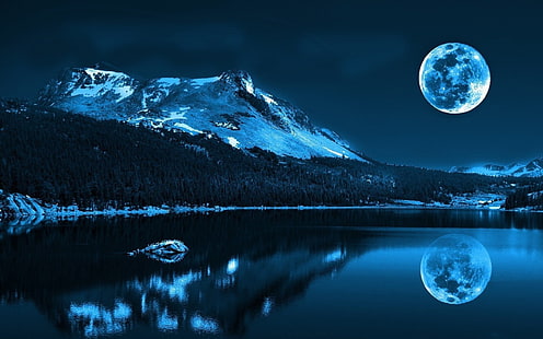 Moonlight, moonlight, Sfondo HD HD wallpaper