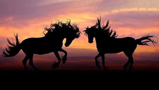 馬、マスタング馬、空、たてがみ、種馬、シルエット、暗闇、野生動物、日没、 HDデスクトップの壁紙 HD wallpaper
