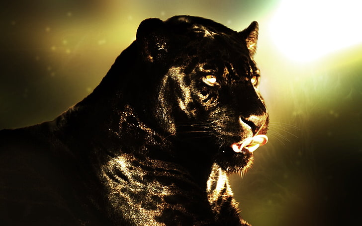 schwarzer Panther digitale Tapete, Katzen, schwarzer Panther, HD-Hintergrundbild