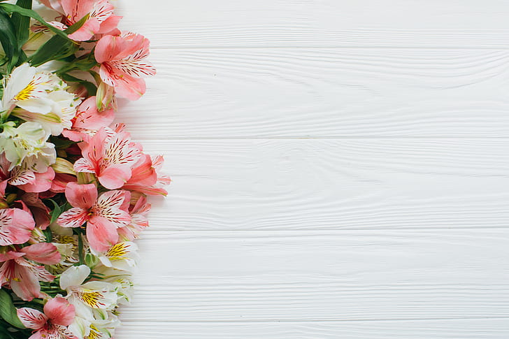 花、背景、アルストロメリア、ピンクと白、 HDデスクトップの壁紙