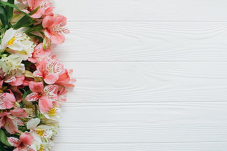 Цветы, фон, альстромерия, розовый и белый, HD обои HD wallpaper