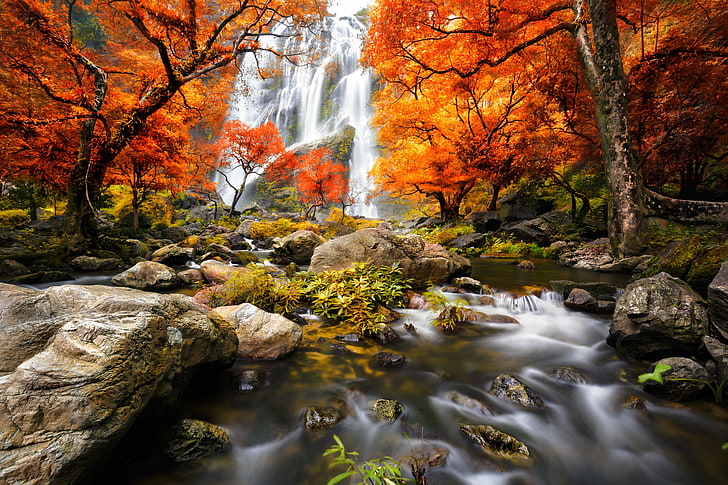 orange and brown waterfall and stream painting, forest, water, trees, landscape, waterfall, Nature, river, autumn, view, scenery, HD wallpaper