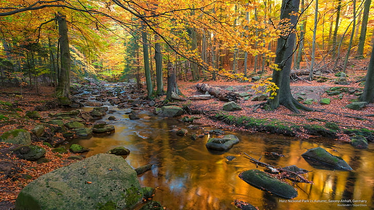 Национальный парк Гарц осенью, Саксония-Анхальт, Германия, осень, HD обои