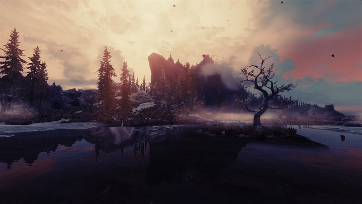 árbol gris, The Elder Scrolls V: Skyrim, videojuegos, Fondo de pantalla HD