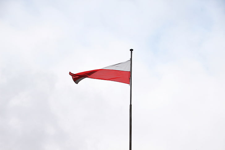 Polandia, bendera, Wallpaper HD