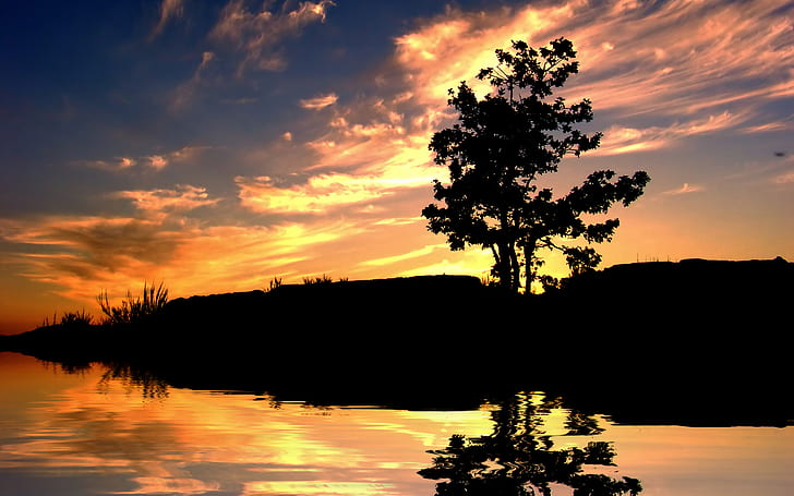 Sunset Tree Silhouette HD, natur, solnedgång, träd, siluett, HD tapet