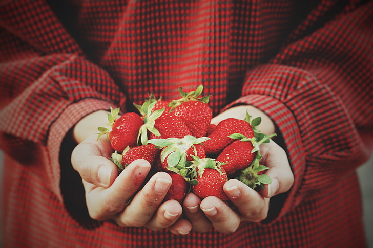 bouquet de fraises, fraise, mains, baies, récolte, Fond d'écran HD
