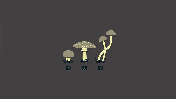 white mushrooms illustration, mushroom, drugs, minimalism, HD wallpaper