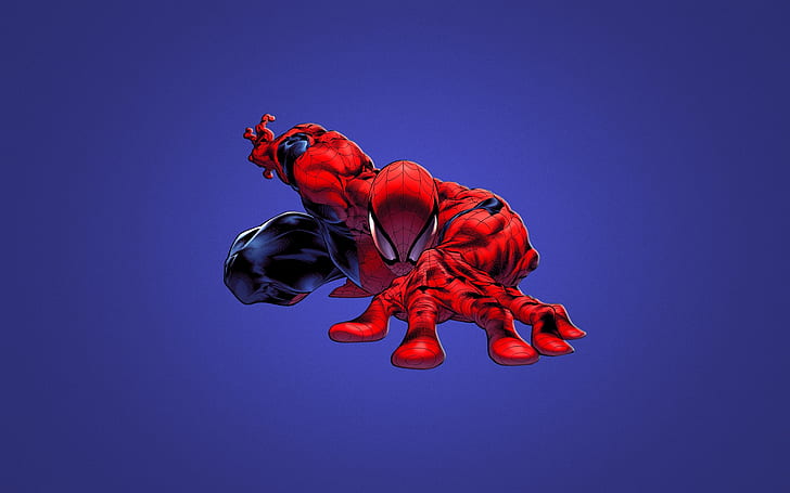 Cool Spiderman, art, spiderman 3d, design, design créatif, Fond d'écran HD