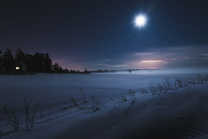withered plants on snow field in distant of house near trees, Moonlight, plants, snow field, distant, house, trees, nikon  d600, nikkor, 35mm, winter  moon, snow  field, outdoor, night, winter, snow, nature, tree, landscape, cold - Temperature, frost, outdoors, HD wallpaper
