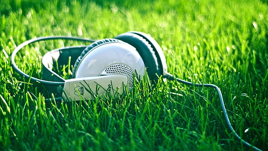 бели и черни кабелни слушалки, лято, природа, музика, слушалки, трева, кабел, HD тапет HD wallpaper