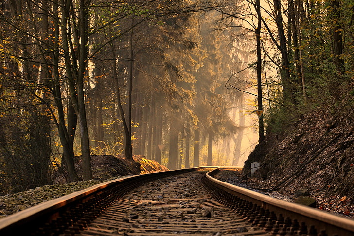 brown train rail, railway, trees, forest, train, HD wallpaper