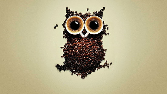 owl, beans, coffee beans, coffee, funny, cup, cups, HD wallpaper HD wallpaper