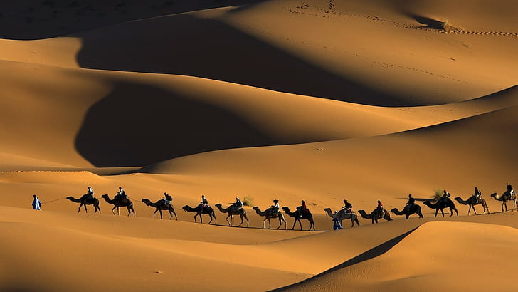 la nature animaux paysage chameaux maroc afrique sable désert dune personnes ombre empreintes touaregs, Fond d'écran HD
