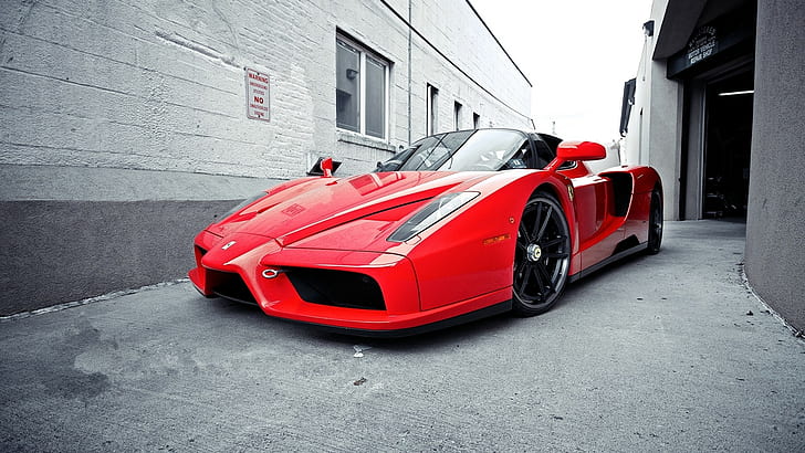 Ferrari Enzo HD, carros, ferrari, enzo, HD papel de parede