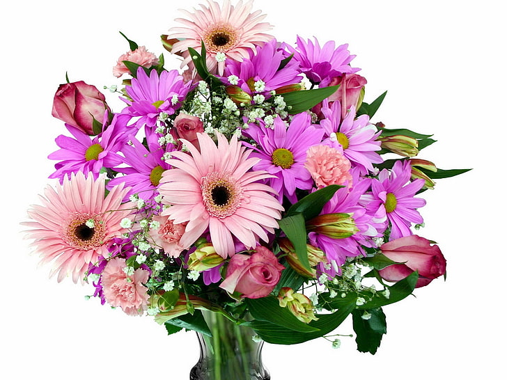 розови и лилави венчелистчета, гербери, хризантеми, карамфили, рози, гипсофила, цветя, букети, ваза, HD тапет