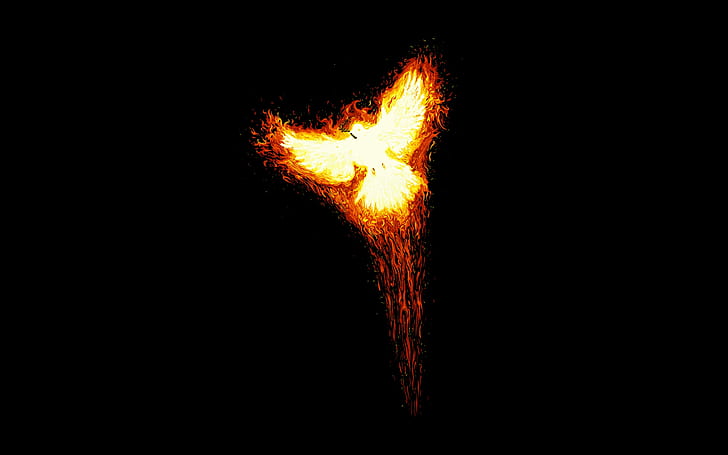 Phoenix Bird, ogień, sztuka, tło, Tapety HD