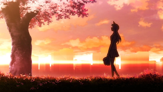 Anime, Detektiv Conan, Ran Mouri, HD-Hintergrundbild HD wallpaper