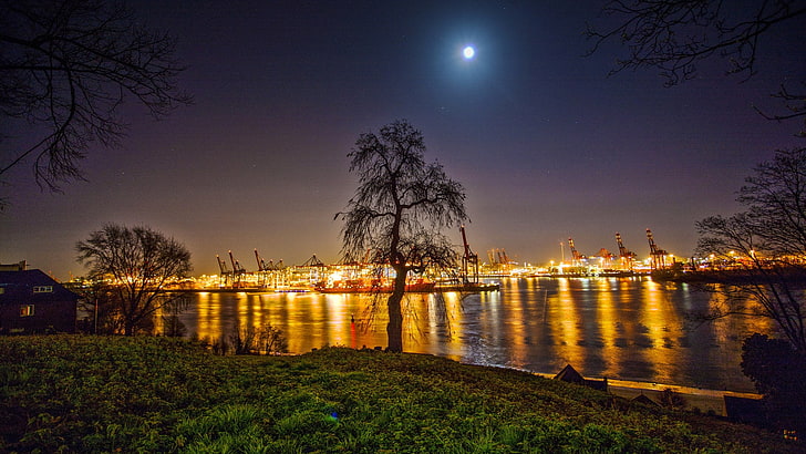 ภาพเงาของต้นไม้เมืองท้องฟ้าดวงจันทร์หญ้าไฟท่าเรือพอร์ตกลางแจ้งแม่น้ำน้ำกลางคืน, วอลล์เปเปอร์ HD