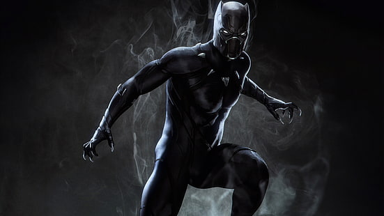 Cómics, Black Panther, Black Panther (Marvel Comics), Marvel Comics, Fondo de pantalla HD HD wallpaper