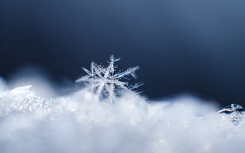 белая снежинка, снежинка, снег, поверхность, HD обои HD wallpaper