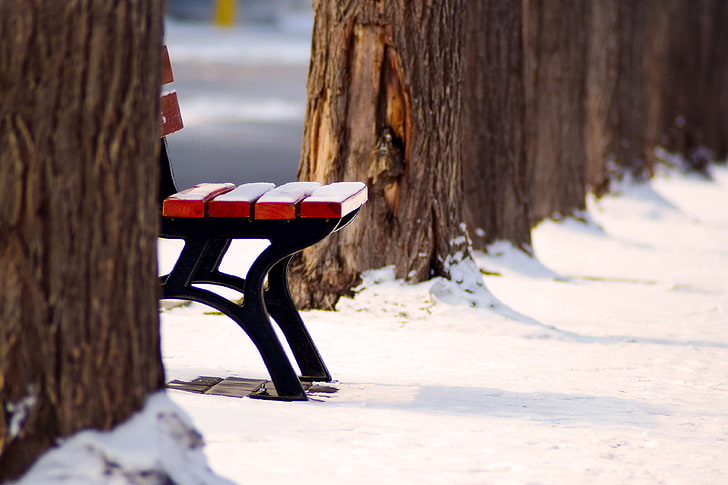 bench, cold, frost, frozen, ice, outdoors, season, seat, snow, tree trunks, winter, wood, HD wallpaper