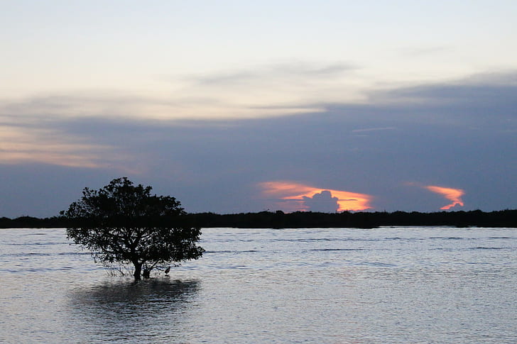 siem skörda solnedgång vatten sjö hav blå träd, HD tapet