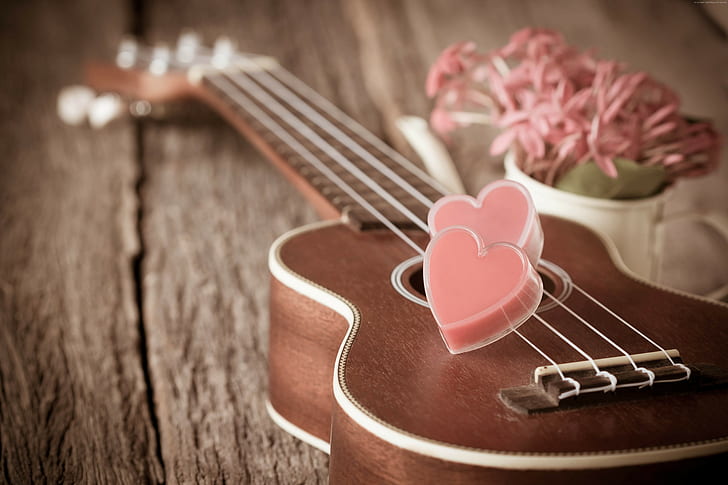 romantique, fleurs, coeur, amour, Saint Valentin, guitare, Fond d'écran HD