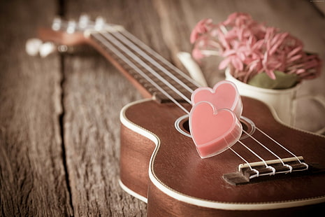 romantic, flowers, heart, love, Valentines Day, guitar, HD wallpaper HD wallpaper