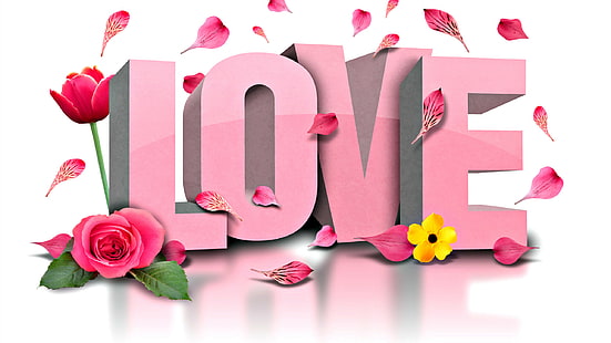 amour, images, images de la saint valentin, coeur d'amour, images de fleurs d'amour, fleur de rose d'amour, image de fleur d'amour, Fond d'écran HD HD wallpaper