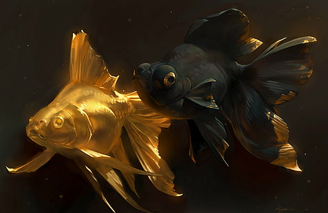 две черно-золотые рыбки обои, рыба, арт, золотая рыбка, парочка, золотая рыбка, HD обои HD wallpaper