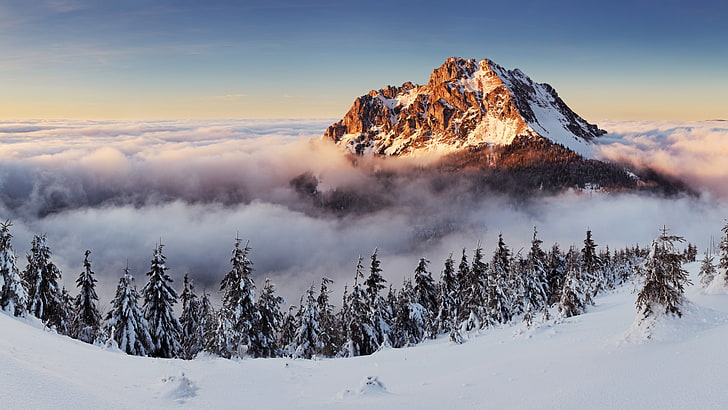 montagna innevata durante le foto diurne, Slovacchia, 4k, sfondi 5k, 8k, montagne, nebbia, pini, neve, Sfondo HD