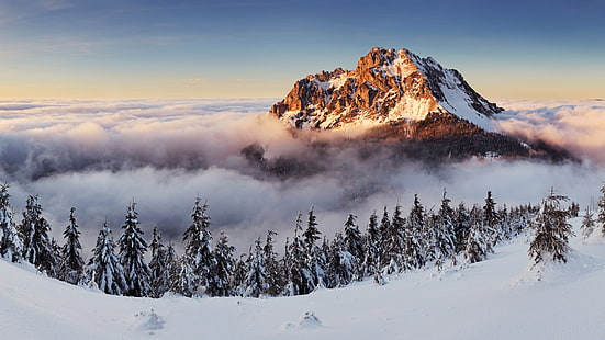 snow covered mountain during daytime photo, Slovakia, 4k, 5k wallpaper, 8k, mountains, fog, pines, snow, HD wallpaper HD wallpaper