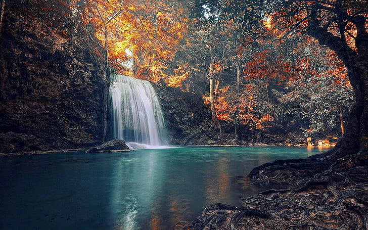 cachoeiras e árvores, fotografia de paisagem de cachoeiras, natureza, cachoeira, árvores, paisagem, raízes, outono, tropical, colorido, HD papel de parede
