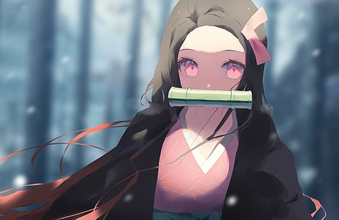 Kimetsu no Yaiba, Kamado Nezuko, schwarze Haare, Knebel, japanische Kleidung, Kimono, lange Haare, rosa Augen, HD-Hintergrundbild HD wallpaper