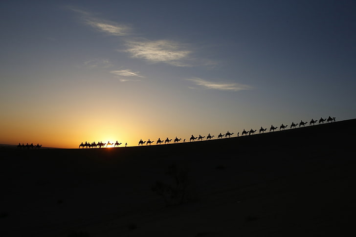 the sky, the sun, clouds, people, desert, Caravan, camels, HD wallpaper