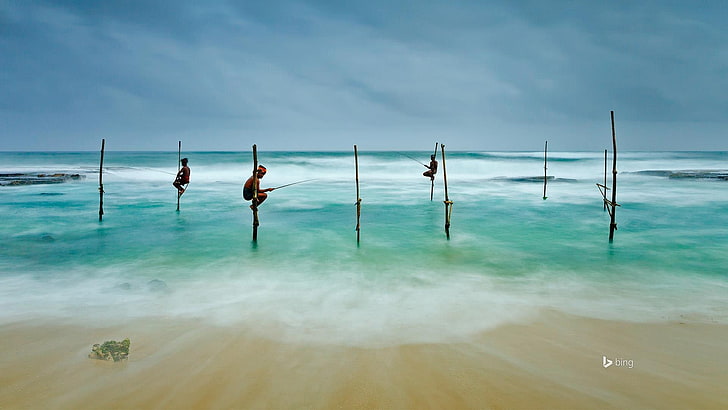 Sri Lanka can Caracas Beach-Bing Theme Wallpaper, HD wallpaper