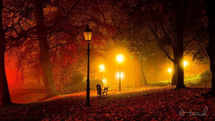 кафяви сухи листа и оранжеви улични лампи, есен, светлина, дървета, пейка, нощ, мост, парк, здрач, светлини, HD тапет