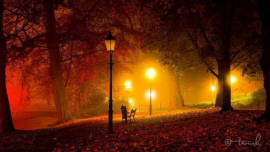 коричневые высушенные листья и оранжевые уличные фонари, осень, свет, деревья, скамейка, ночь, мост, парк, сумерки, огни, HD обои HD wallpaper