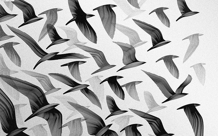 white and black floral textile, monochrome, birds, silhouette, flying, HD wallpaper