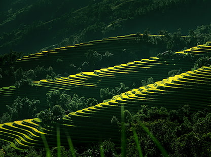 Vietnam doğa manzarası, doğa, peyzaj, seyahat, yeşil, sahne, Asya, Fotoğrafçılık, Vietnam, alanları, pirinç, çevre, teraslar, tarım, RiceTerrace, YenBai, LangSon, HD masaüstü duvar kağıdı HD wallpaper
