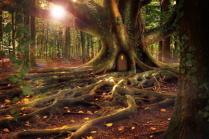 house, forest, tree, roots, fantasy, HD wallpaper