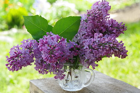 цветы, природа, красота, сирень, букет, цвет фиолетовый, июнь, флора, букеты, HD обои HD wallpaper